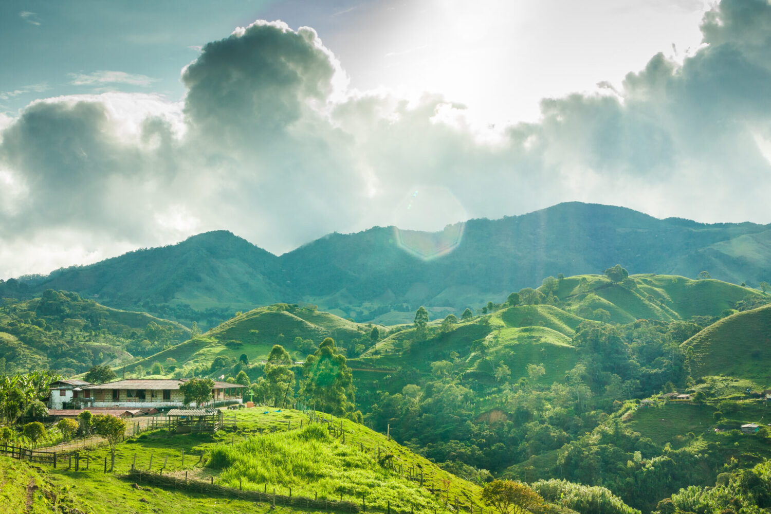 Colombia, a land of diversity  ArtOnCafe